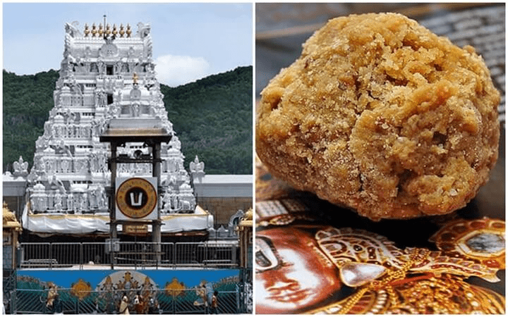 SIT Chargesheet Clears Tirumala Laddu Ghee Controversy, No Animal Fat Used