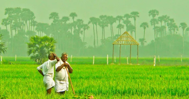 farmers_F