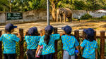Free Zoo Entry Tamil Nadu Announced for CM Vijay's 52nd Birthday