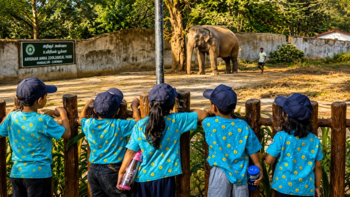 ZOO