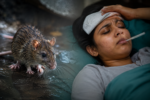 Kerala Rat Fever Cases Triple; Death Rate Reaches 6%