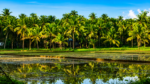 Karnataka Crop Insurance: Farmers Asked to Enrol