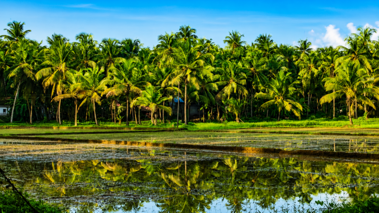 Karnataka Crop Insurance: Farmers Asked to Enrol