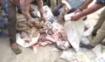Hyderabad Meat Adulteration: 50 Kg Suspected Meat Seized