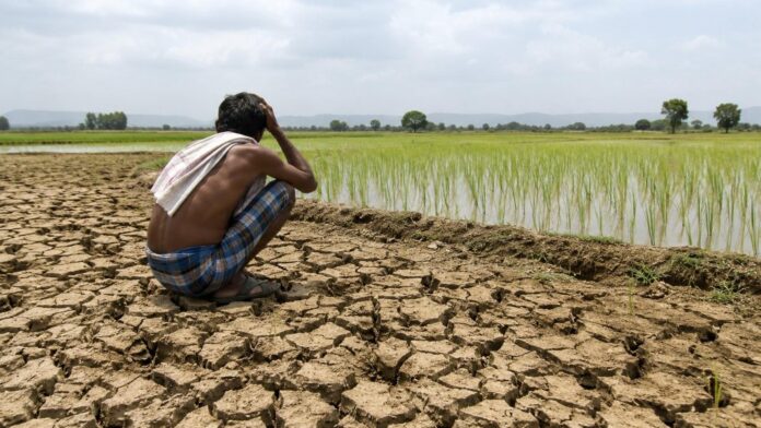 Andhra Pradesh drought affecting farmers and mandals in 2026